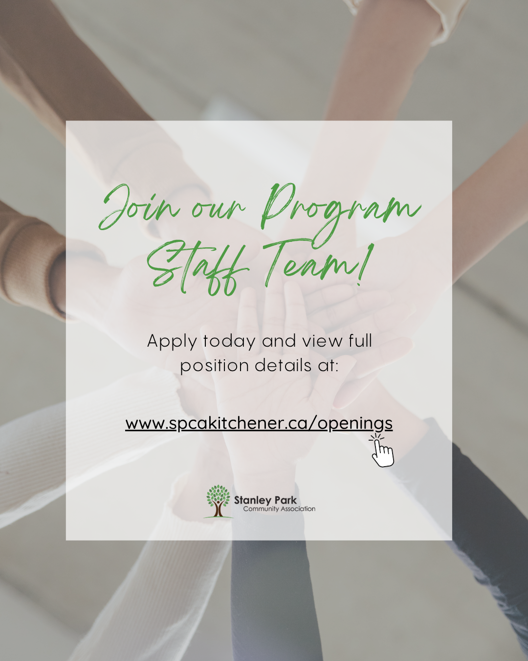we are hiring program staff vi